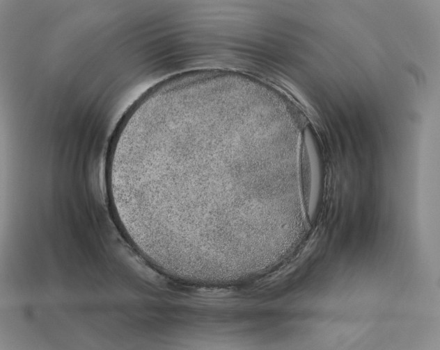 X0000113260788200910081338