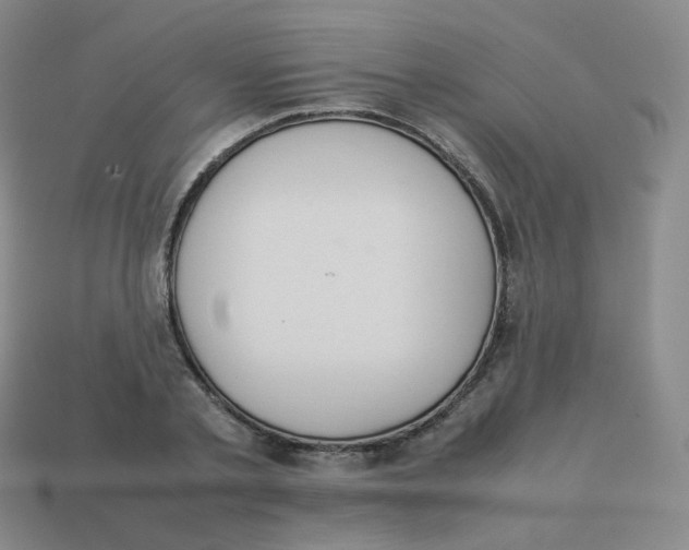 X0000113260789200910081338