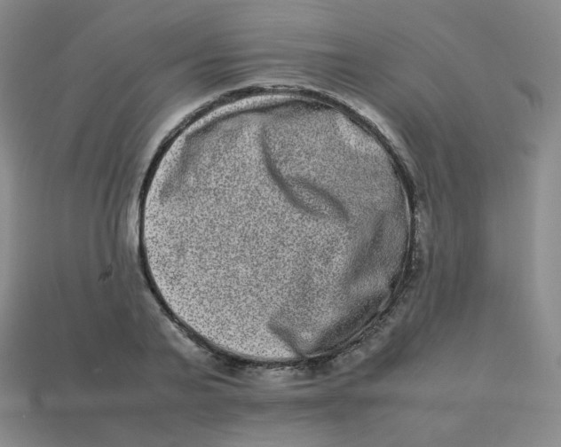 X0000113260791200910081338
