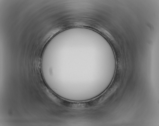 X0000113260793200910081338
