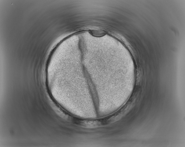 X0000113260795200910081338