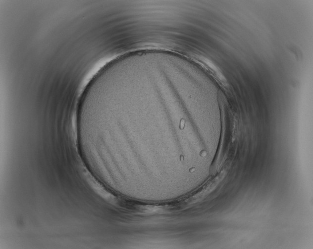 X0000113260796200910081338