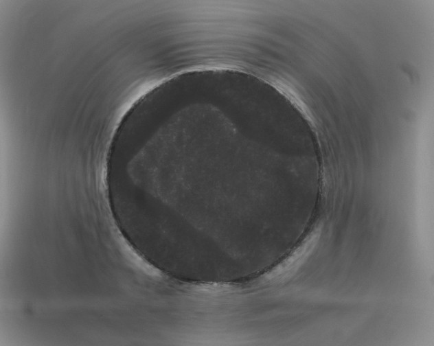 X0000113260797200910081338