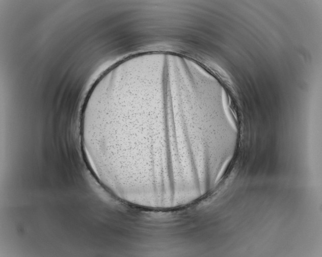 X0000113260800200910081338