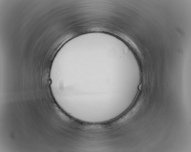 X0000113260801200910081338