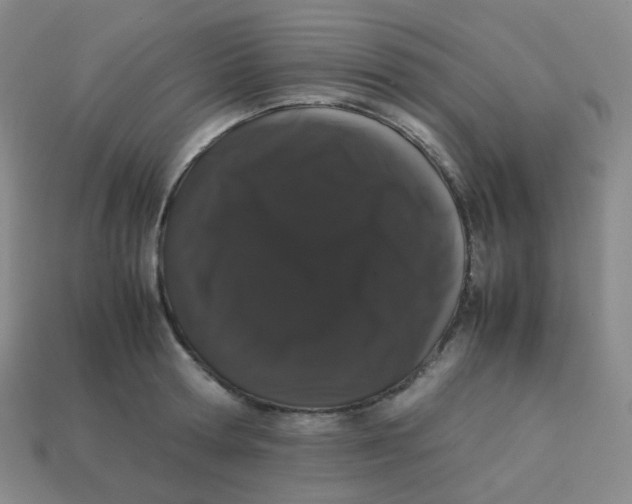 X0000113260802200910081338