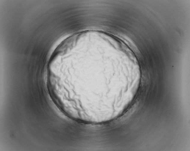 X0000113260804200910081338