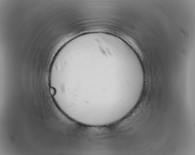 X0000113260805200910081338