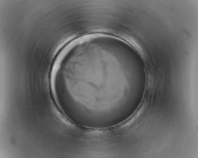 X0000113260806200910081338