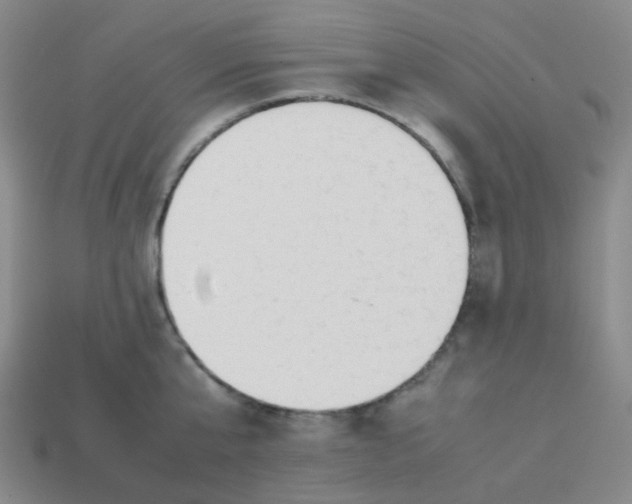 X0000113260807200910081338