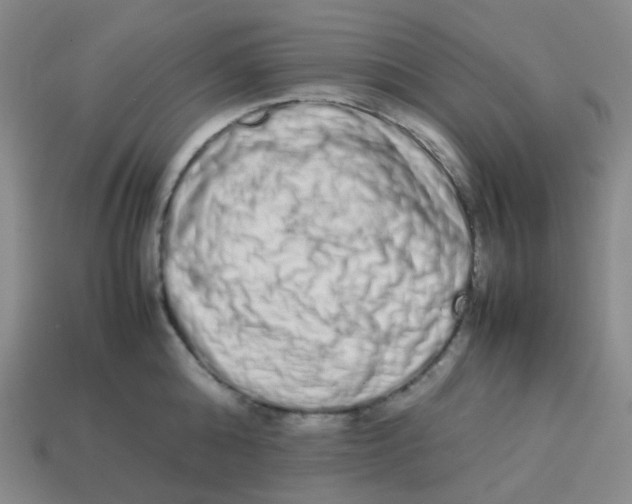 X0000113260808200910081338