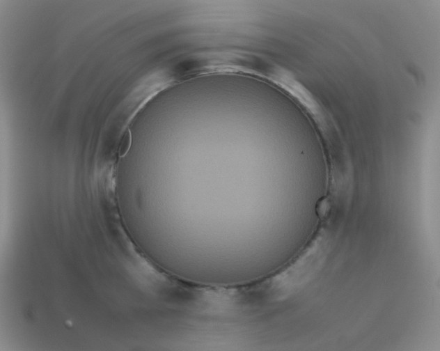 X0000113260809200910081338