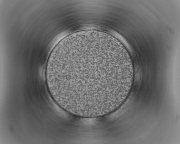 X0000113260810200910081338