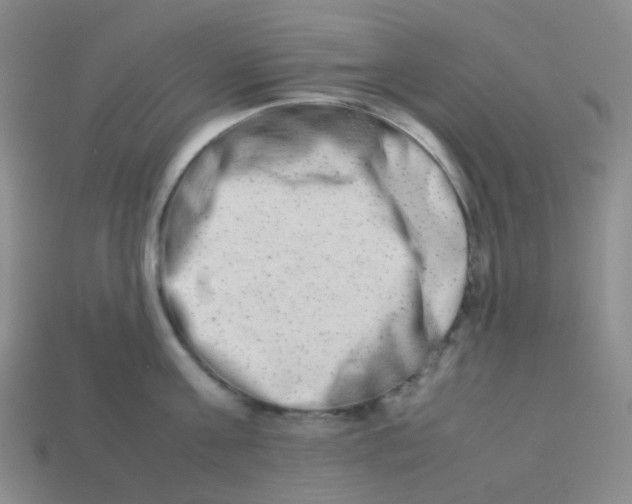 X0000113260811200910081338