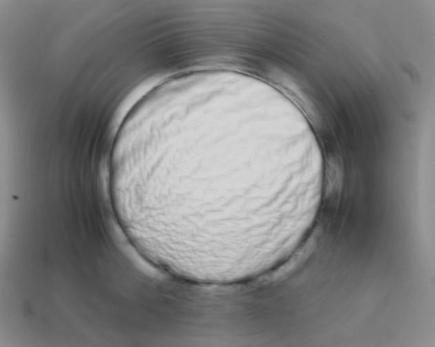 X0000113260812200910081338