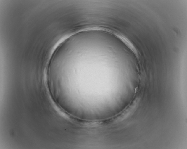 X0000113260813200910081338