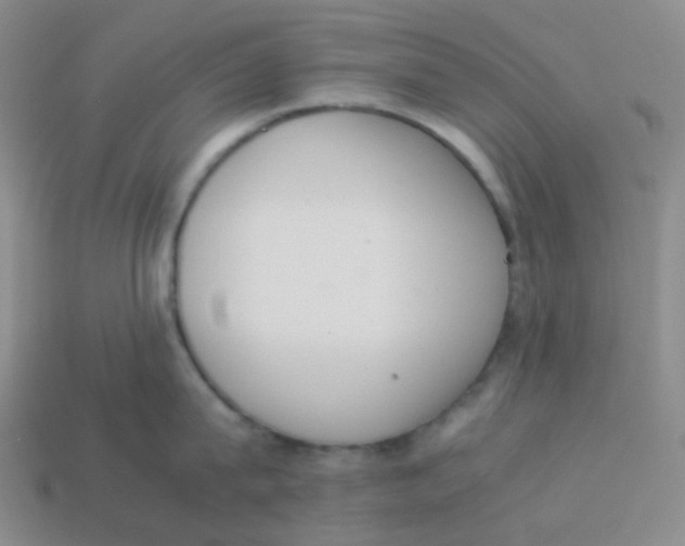 X0000113260815200910081338