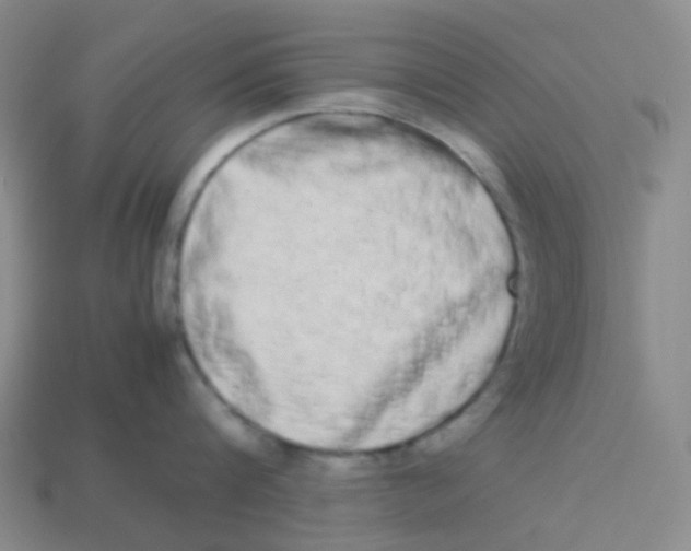 X0000113260816200910081338