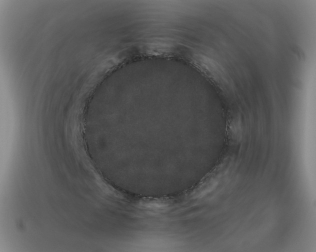 X0000113260817200910081337