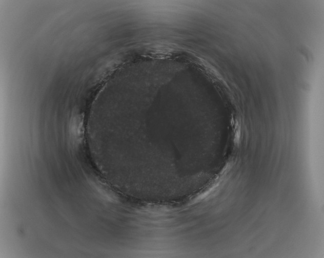 X0000113260818200910081337