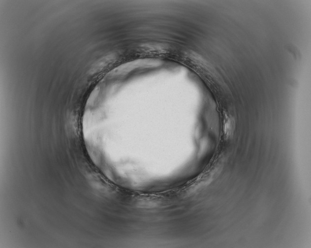 X0000113260819200910081337