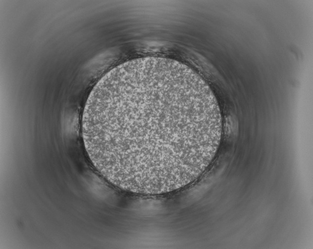 X0000113260820200910081337