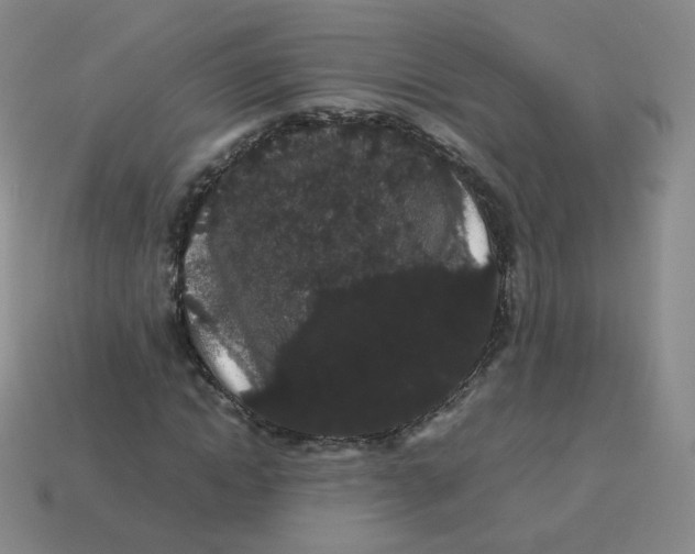 X0000113260822200910081337