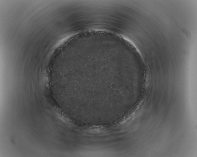 X0000113260823200910081337