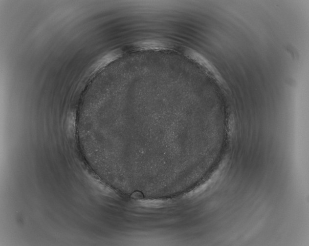 X0000113260825200910081337