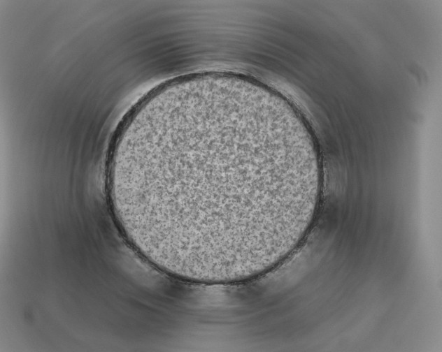 X0000113260828200910081337