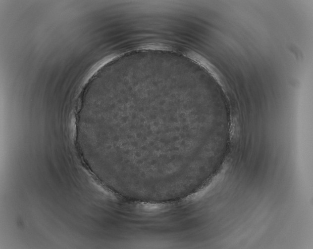 X0000113260829200910081337