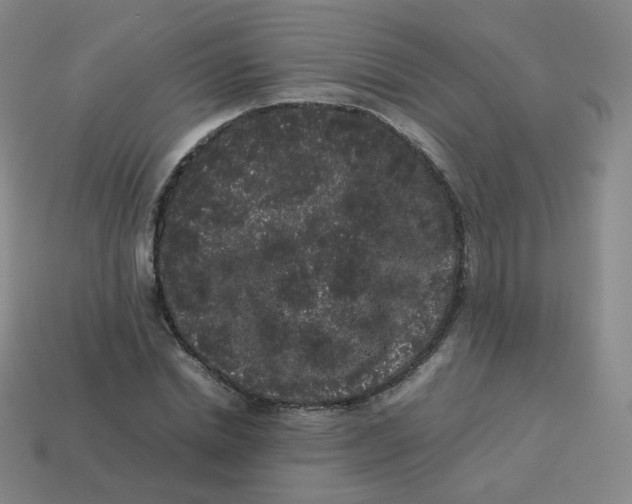 X0000113260830200910081337
