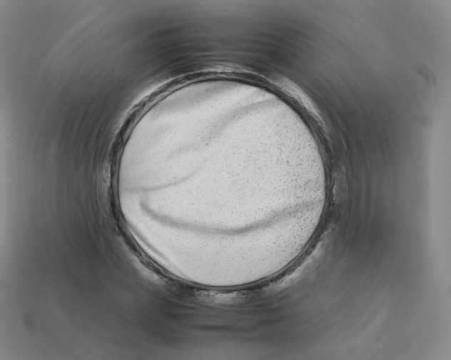 X0000113260831200910081337