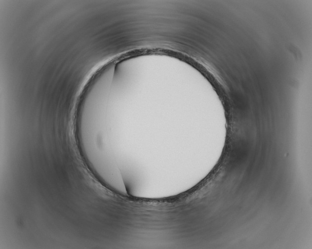 X0000113260832200910081337