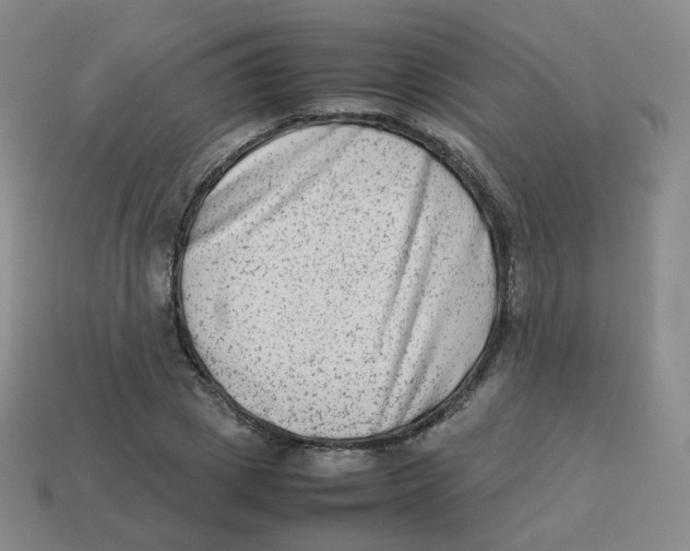 X0000113260833200910081337