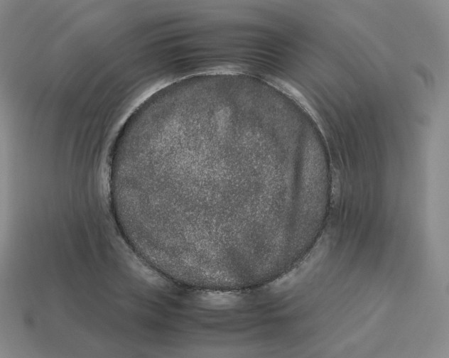 X0000113260835200910081337