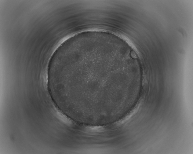 X0000113260837200910081338