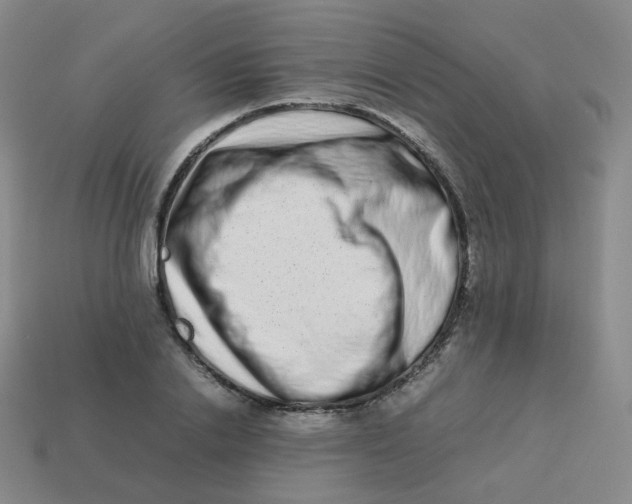 X0000113260838200910081338