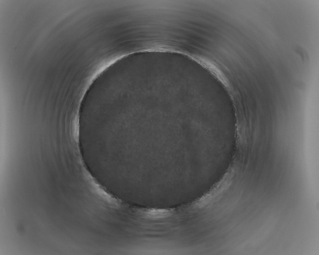 X0000113260839200910081338