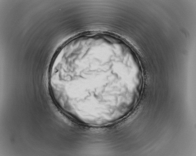 X0000113260840200910081338