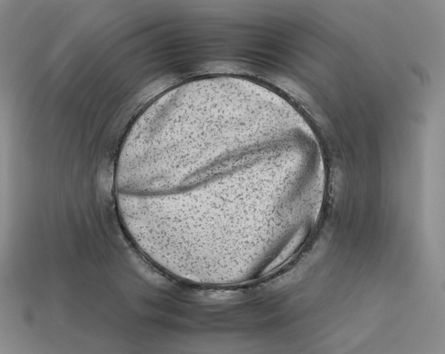 X0000113260841200910081338