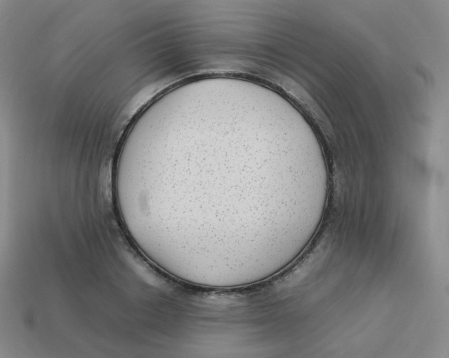 X0000113260842200910081338
