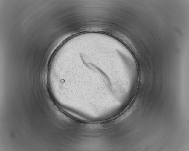 X0000113260844200910081338