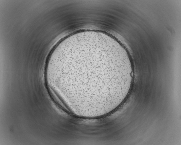 X0000113260845200910081338