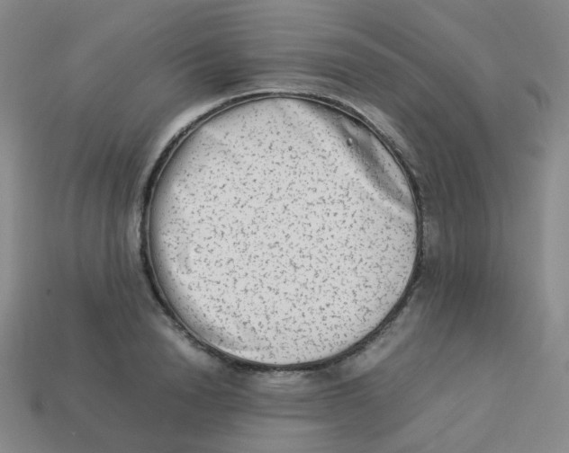 X0000113260846200910081338