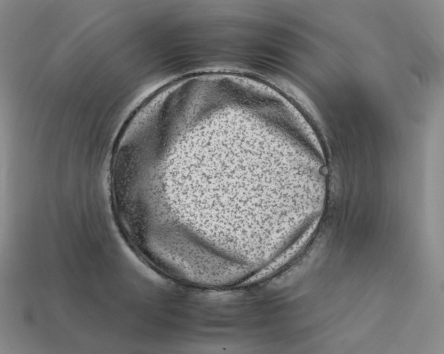 X0000113260847200910081338