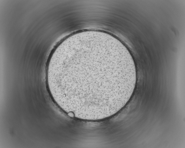 X0000113260848200910081338