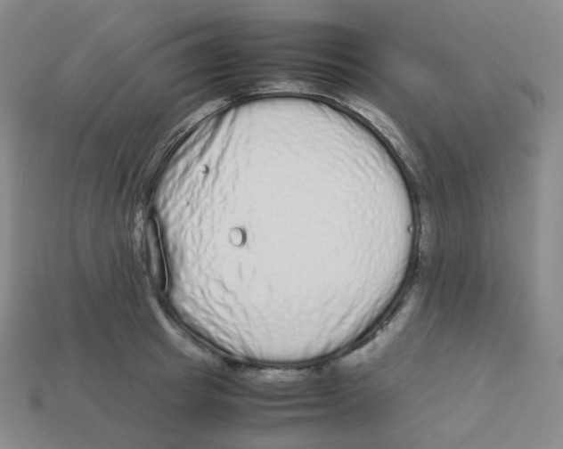 X0000113260849200910081338