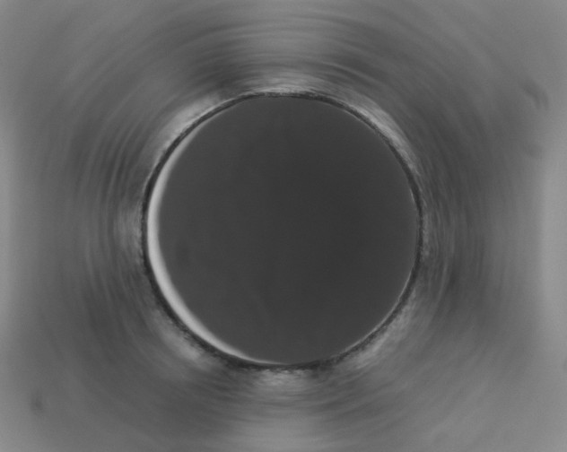 X0000113260850200910081338