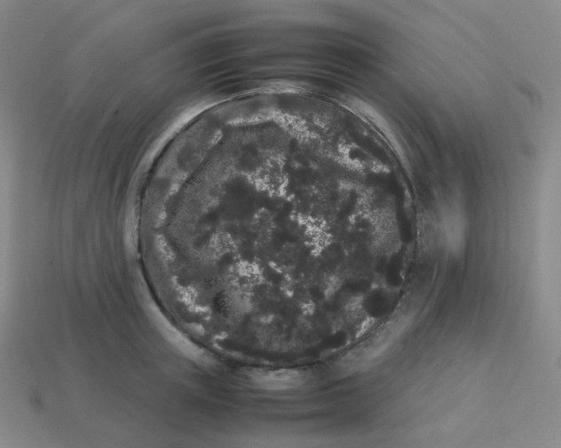 X0000113260851200910081338